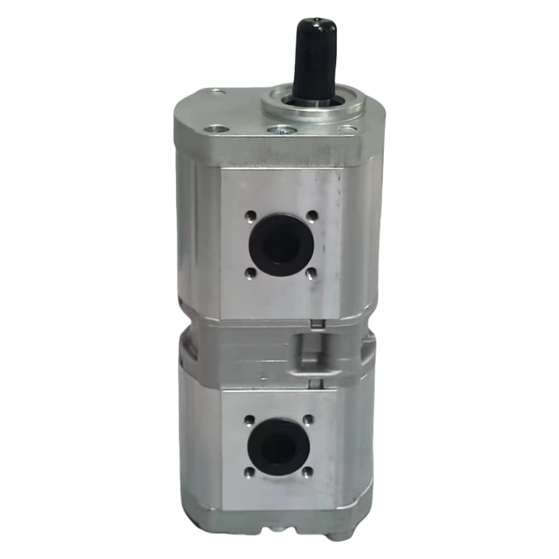 B210166 gear pump